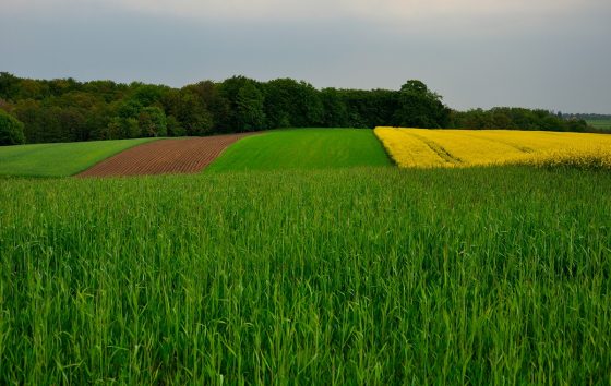 Nabór wniosków w ramach „Ogólnopolskiego programu regeneracji środowiskowej gleb poprzez ich wapnowanie”