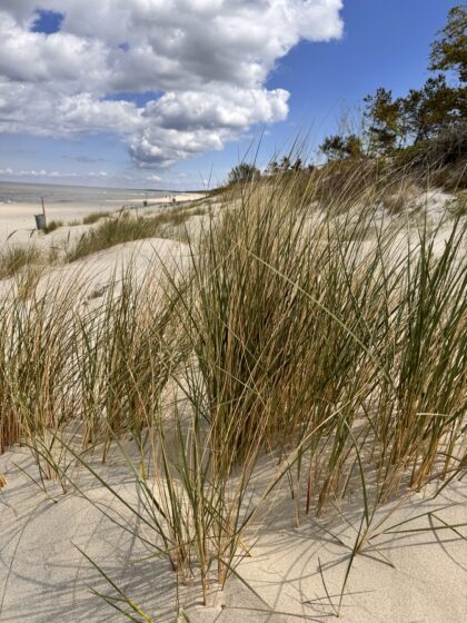 Nie rób obciachu, nie śmieć